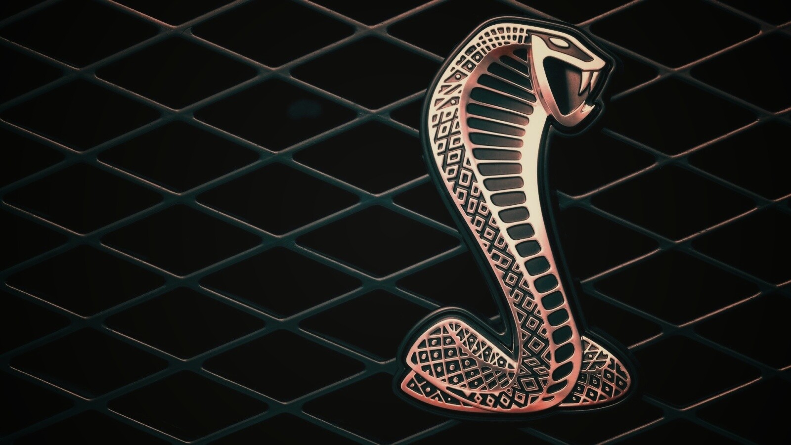 Логотипа Форда Шелби обои