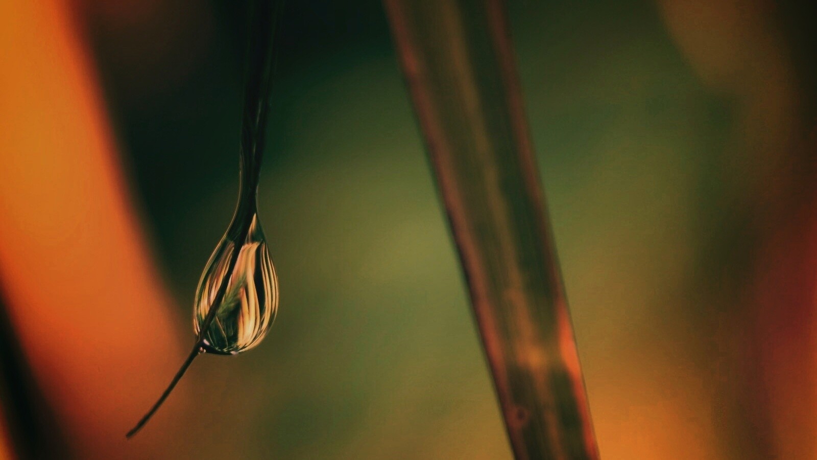 Стекающая капля обои