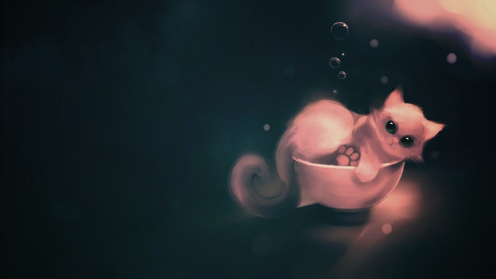 Котёнок в миске обои