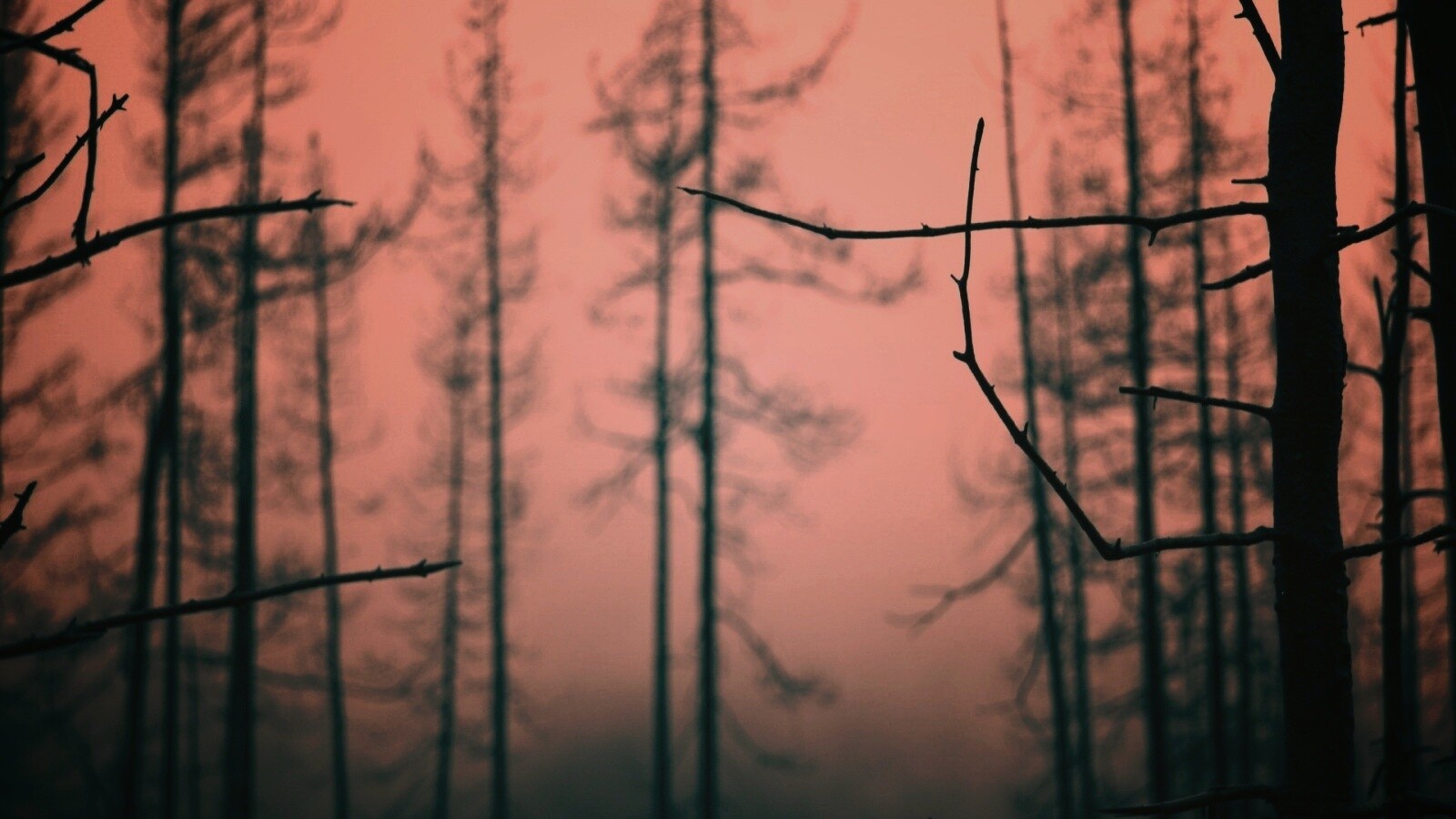 Безысходность обои