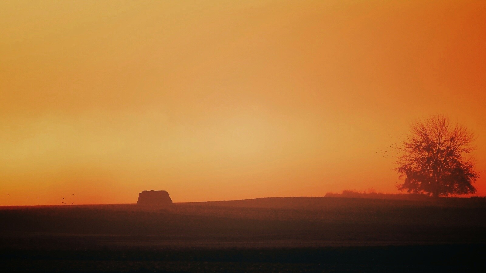 Убранное поле обои