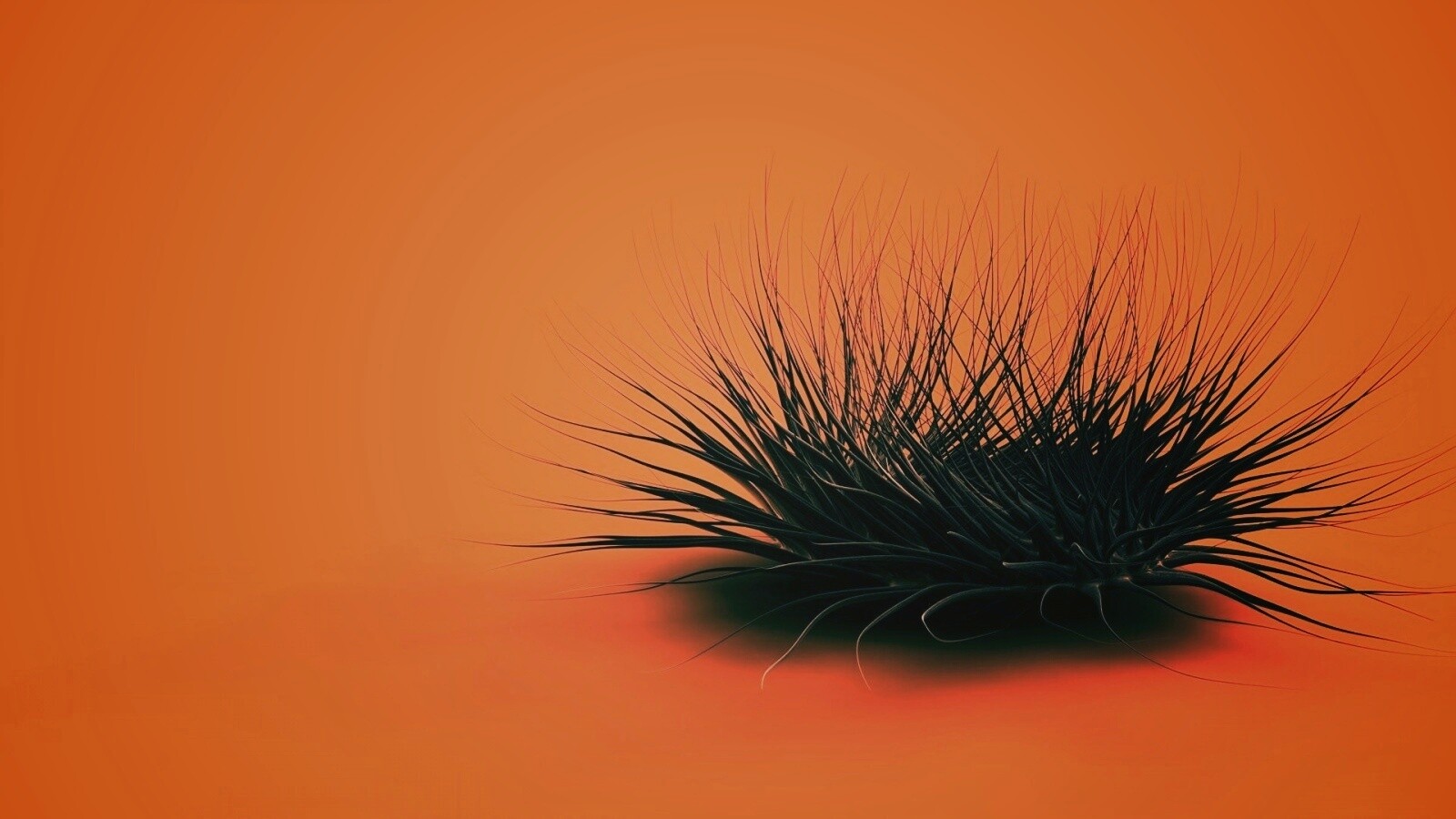 Волосатая мочалка обои