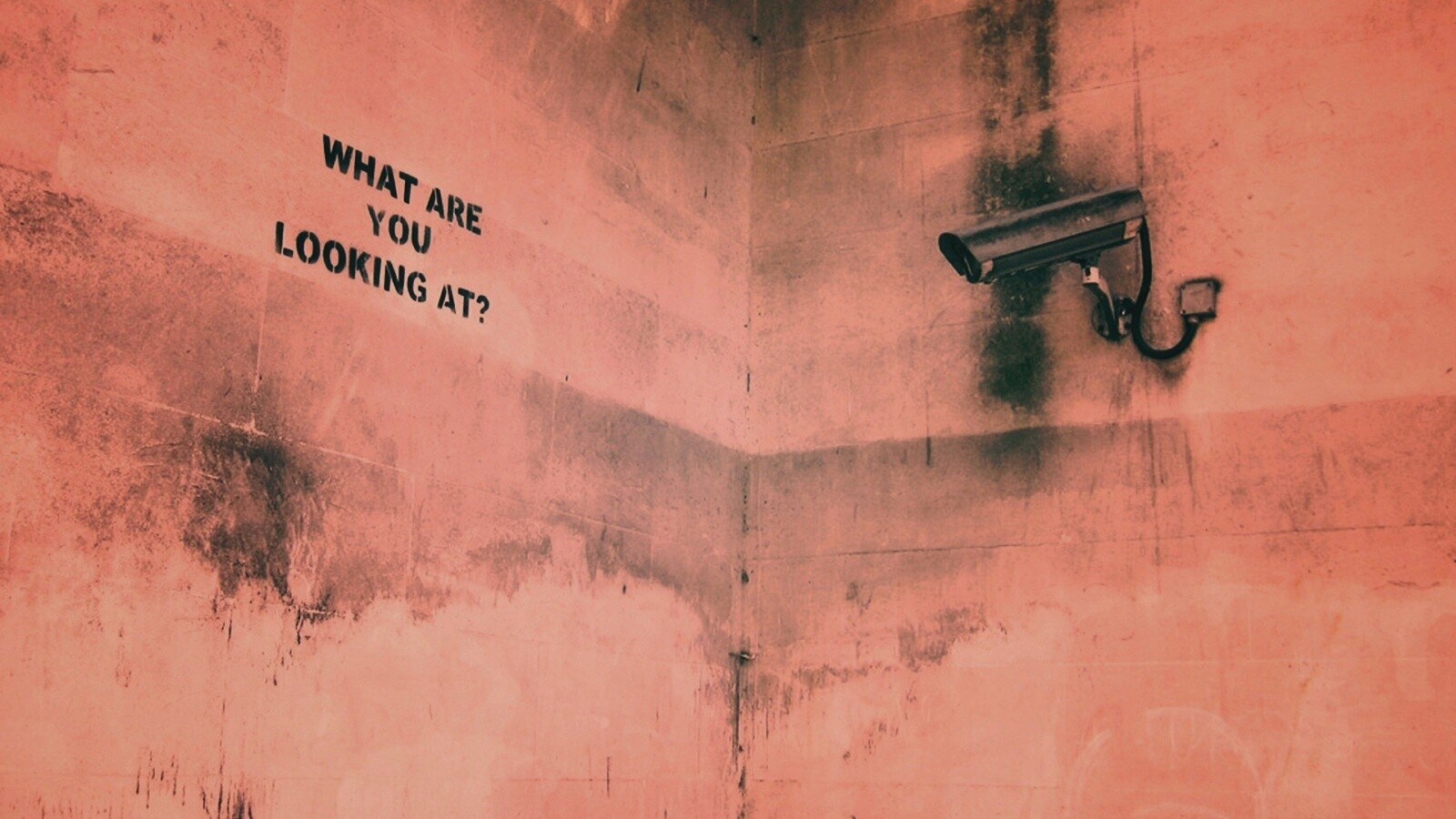 На что ты смотришь? обои