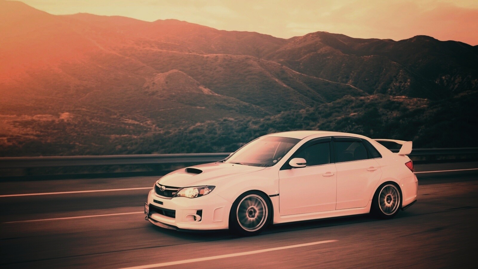 Белый субарь на тарссе обои