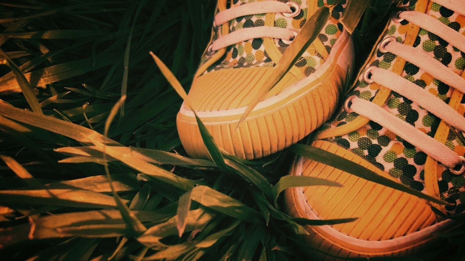 Желтые кеды в горошек обои