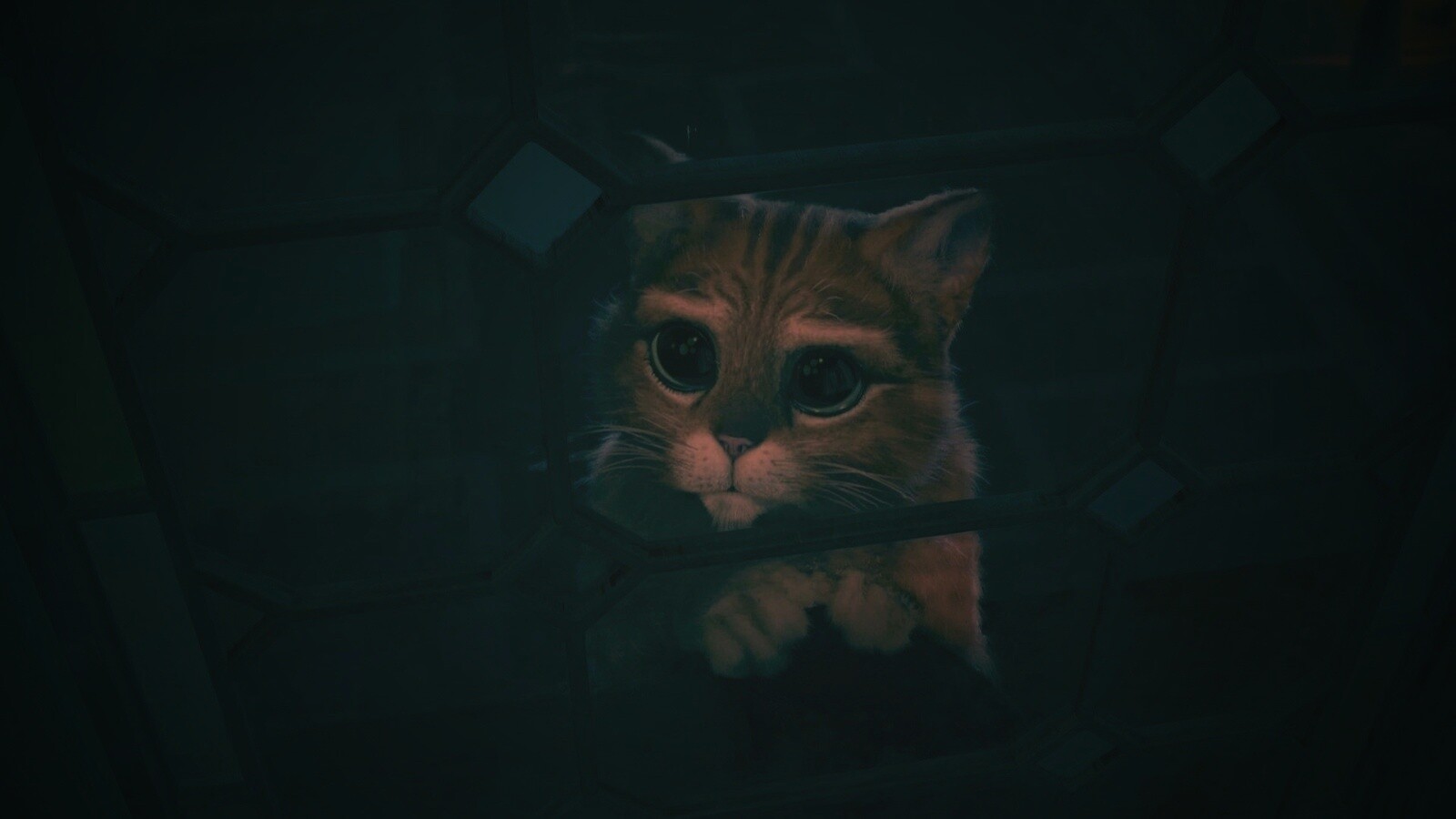 Кот в сапогах обои