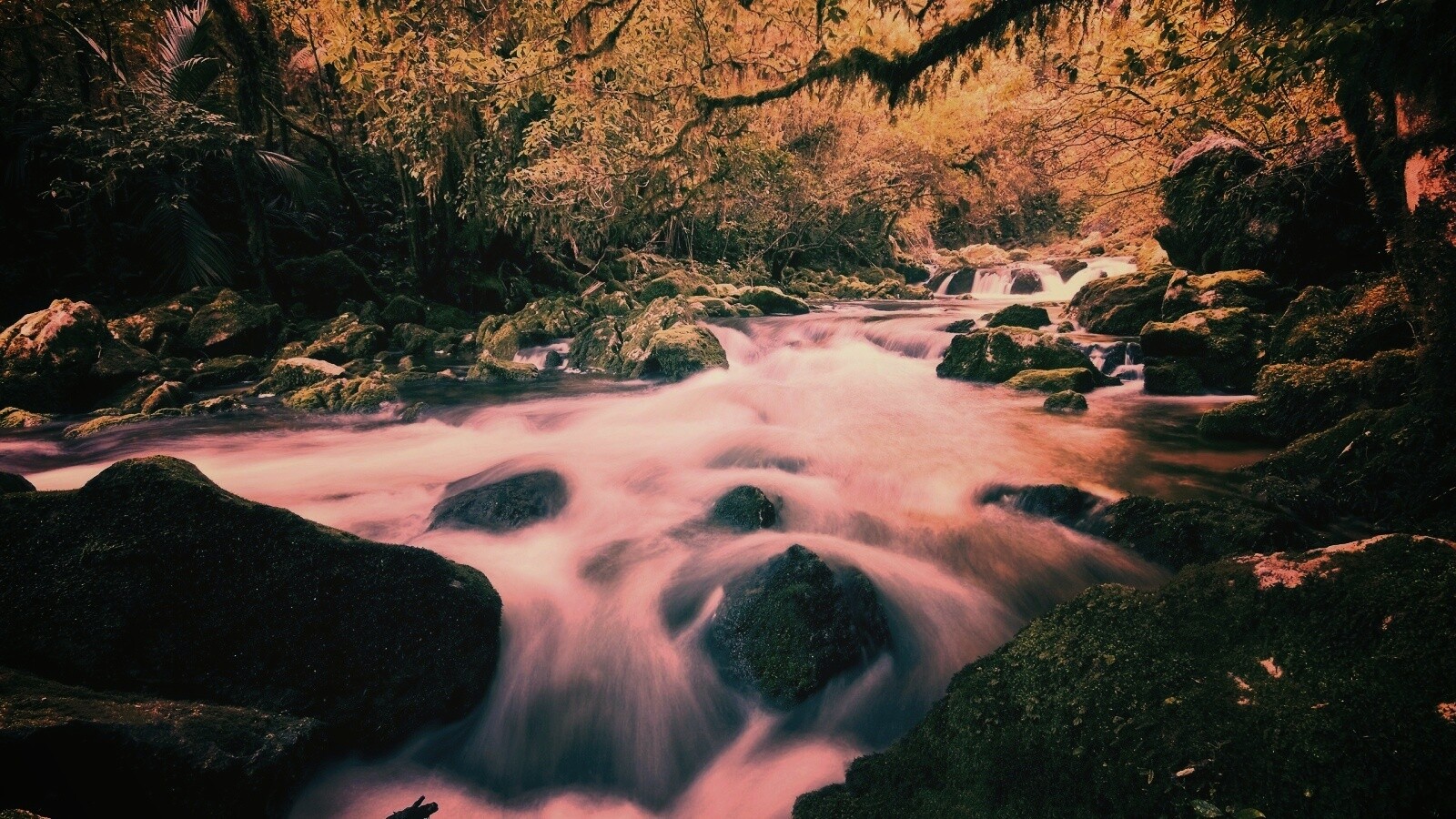 Лесной руче обои