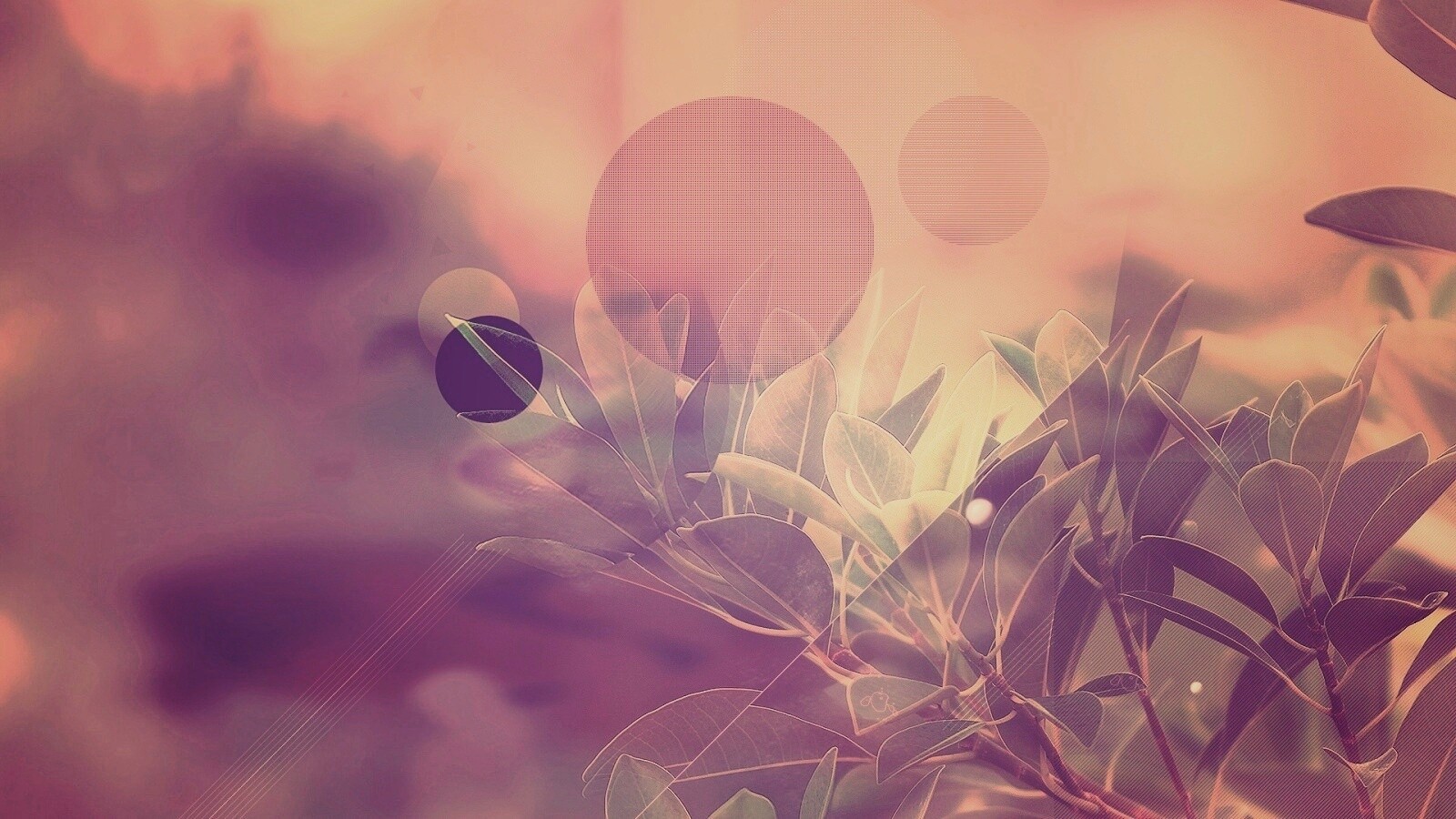 Синий фильтр с кргуами на фото листьев обои