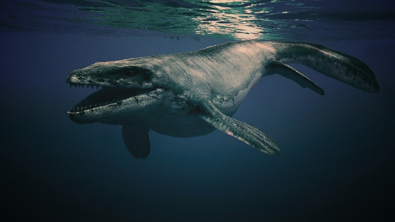 Морской динозавр обои