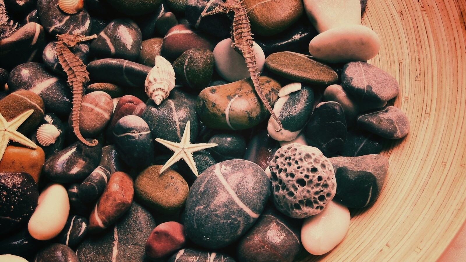 Морские камешки и фауна обои