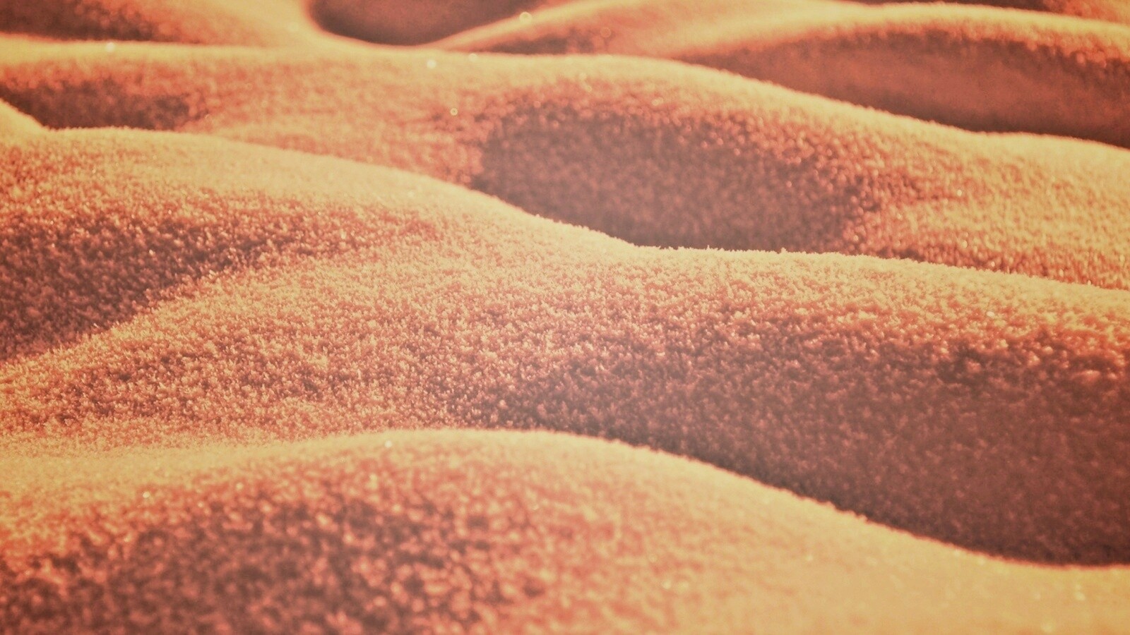 Песчаные бугры обои