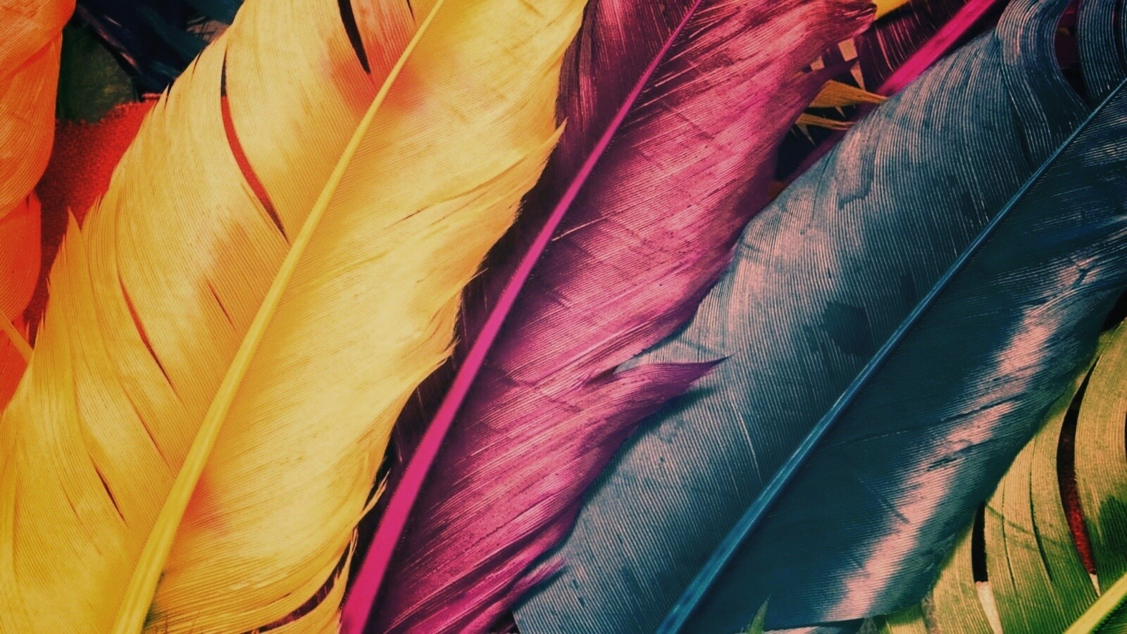 Разноцветные перья обои