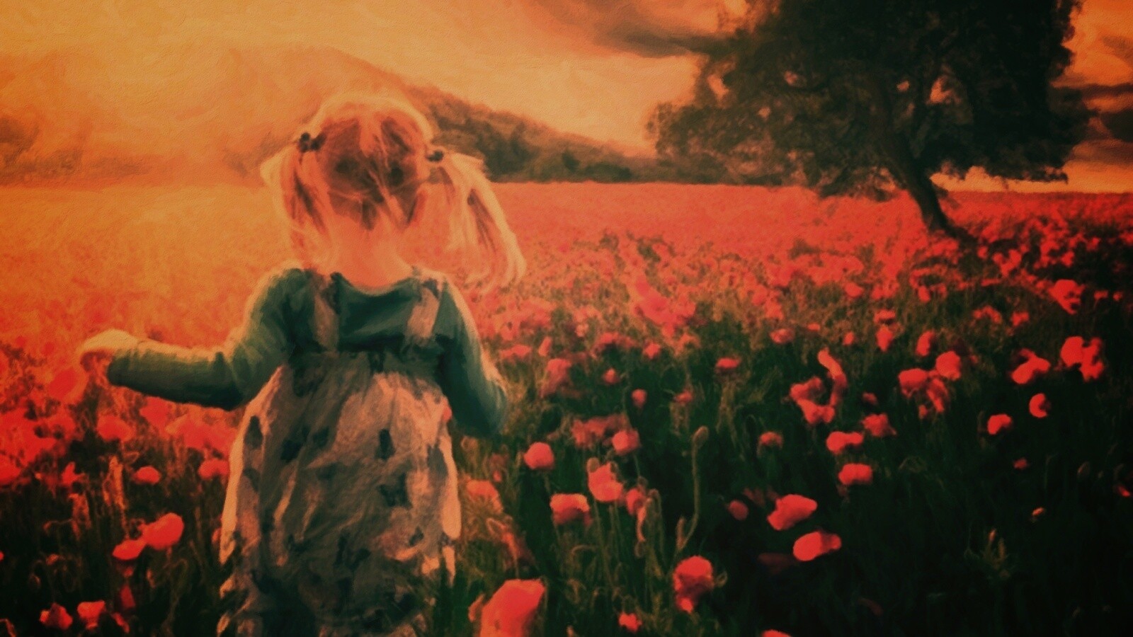 Девочка на маковом поле обои