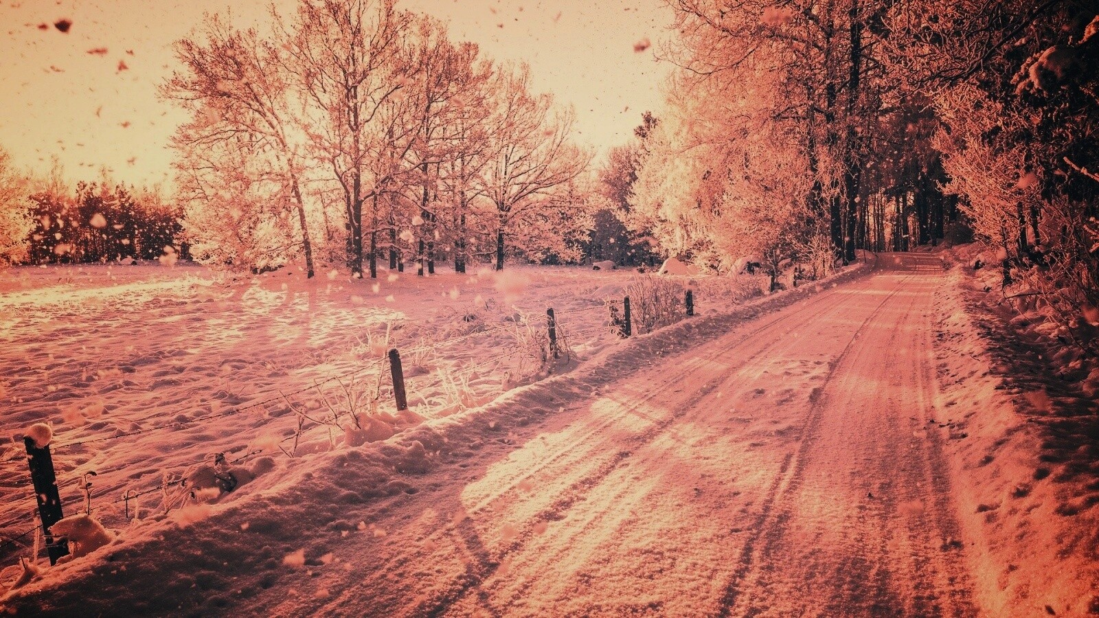 Снежная дорога залитая солнцем обои