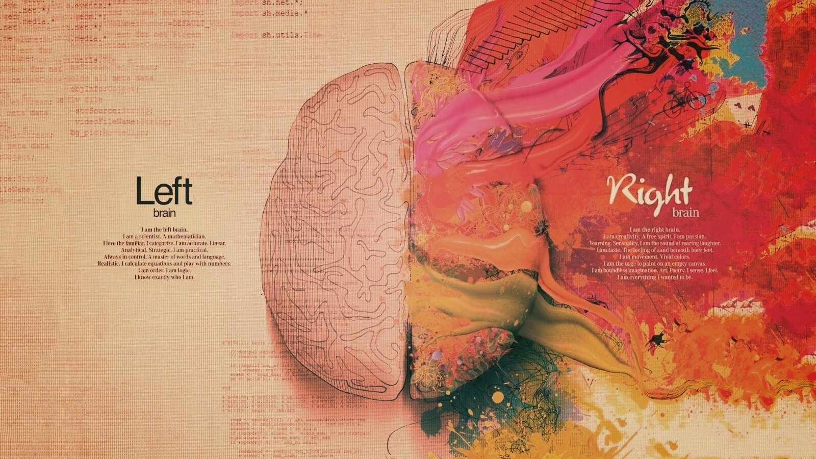 Различия левого и правого полушария обои
