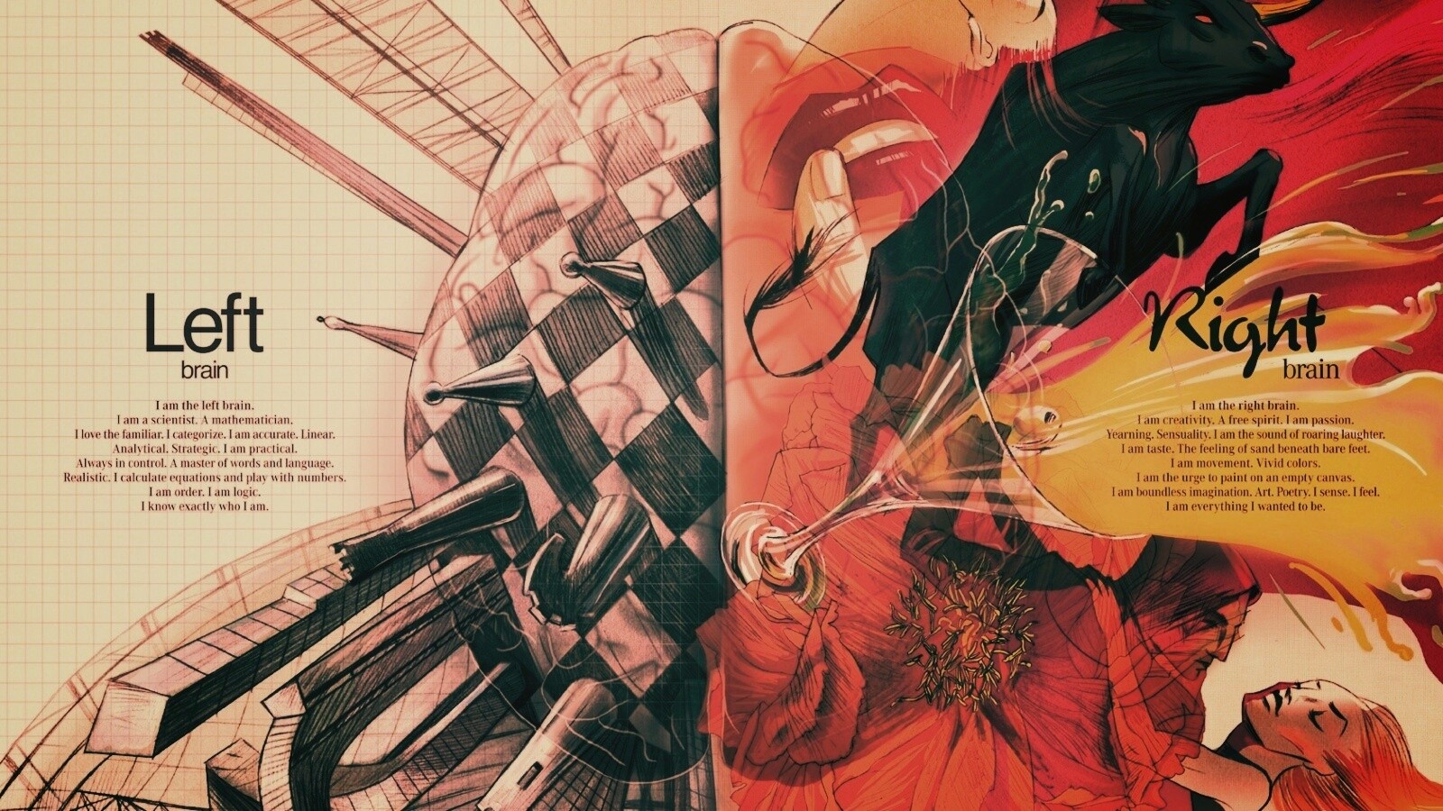 Левая и правая часть мозга обои