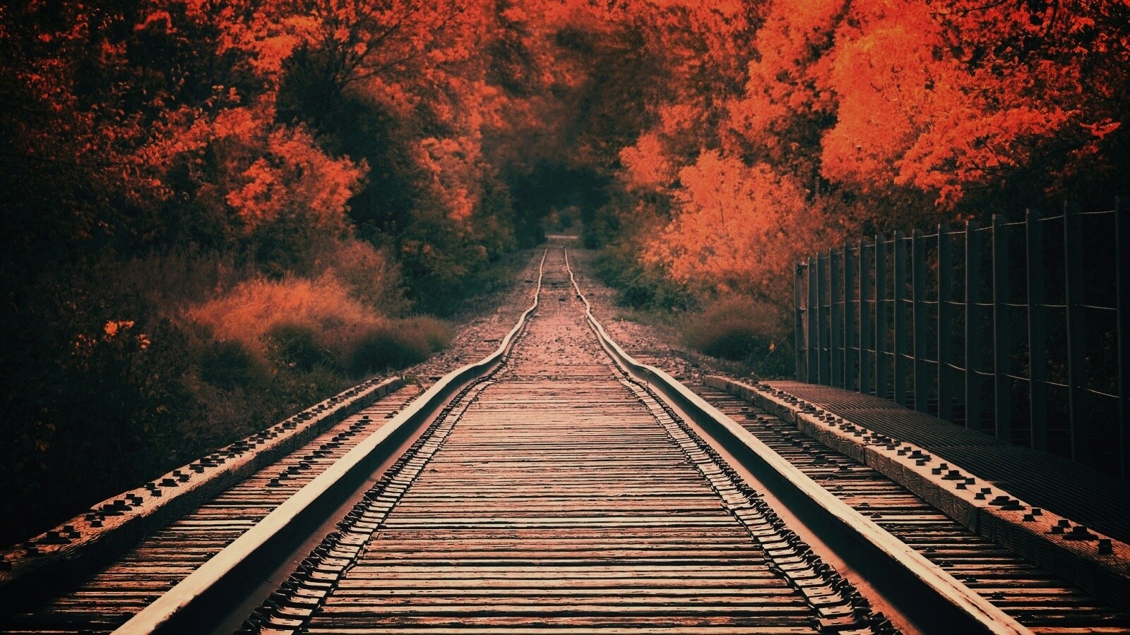 Железная дорога в осеннем лесу обои