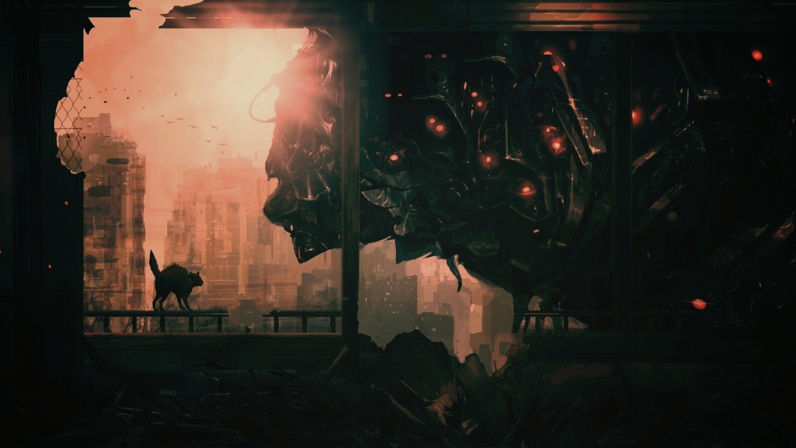 Кошкино удивление обои