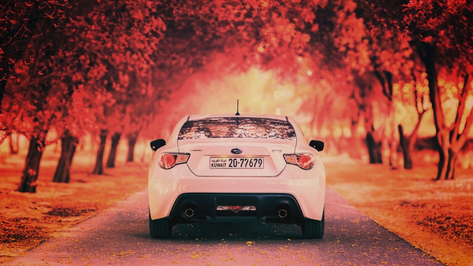 Субару на осенней дороге обои