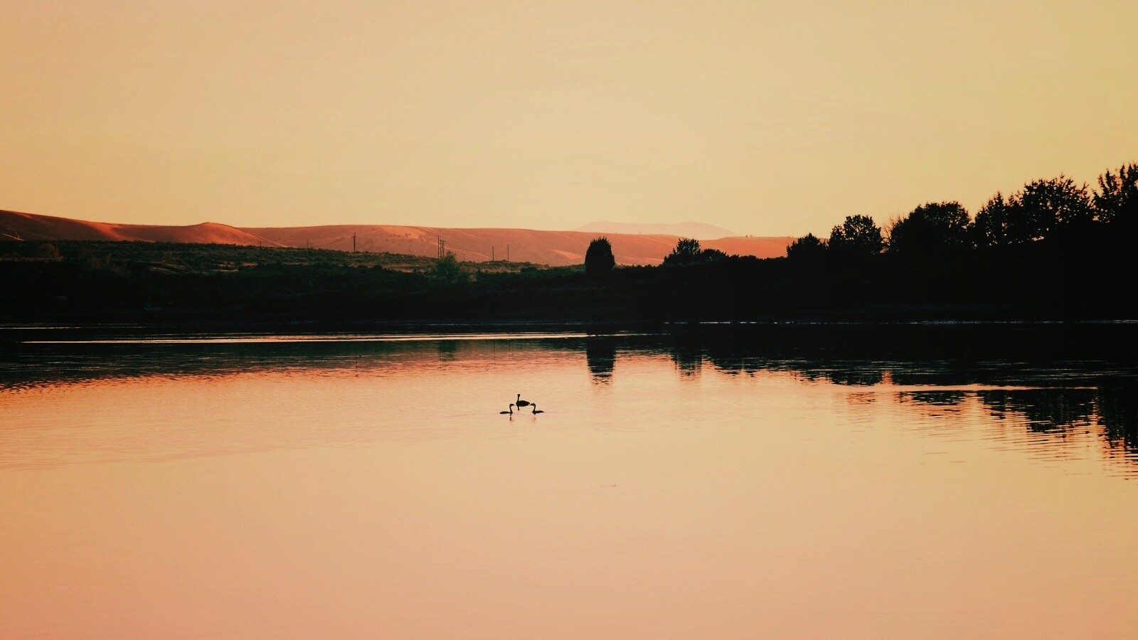 Утиное озеро обои