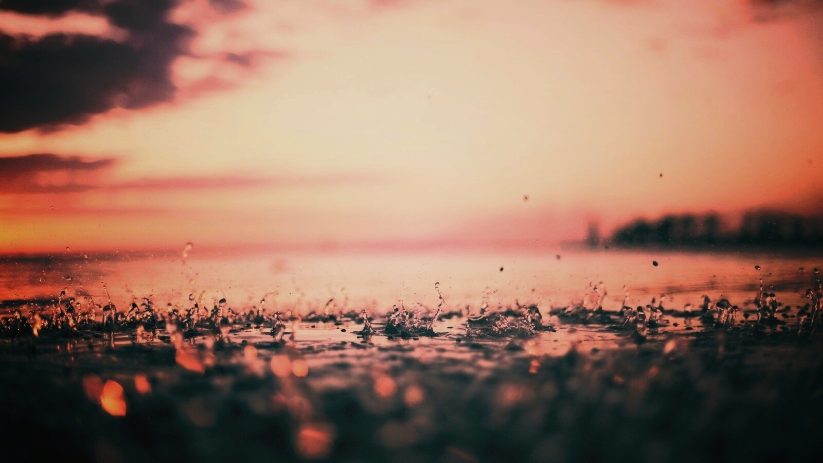 Дождь в макро обои