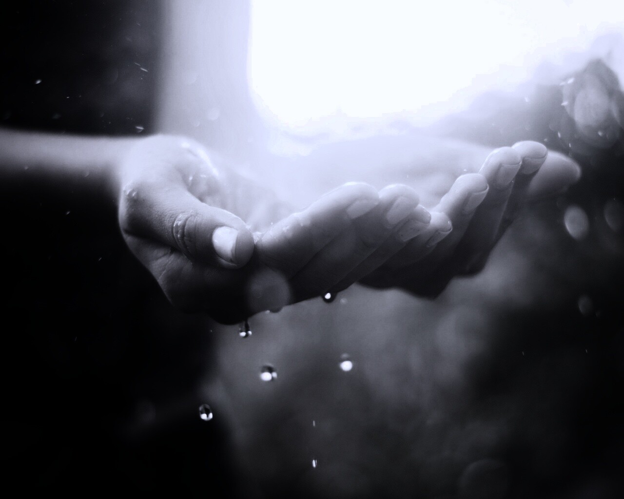 Дождь в ладонях обои