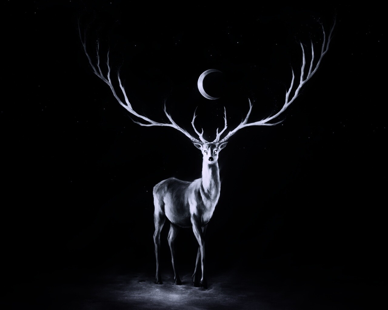 Олень в лунном свете обои