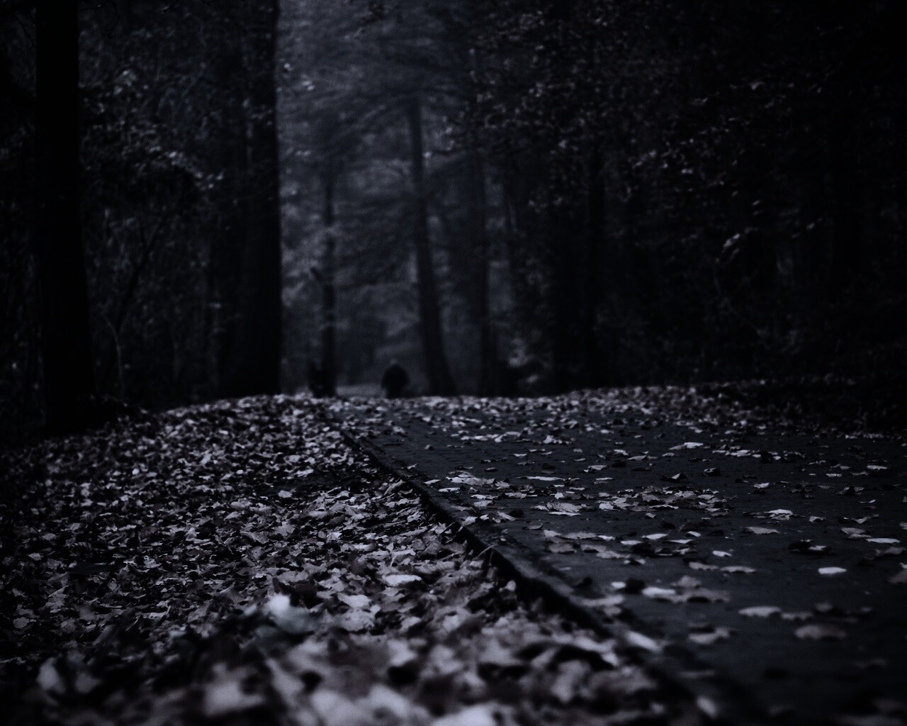 Осенняя дорога обои