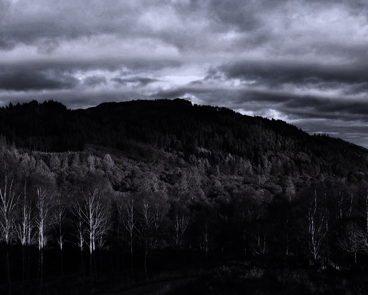 Золотая осень обои