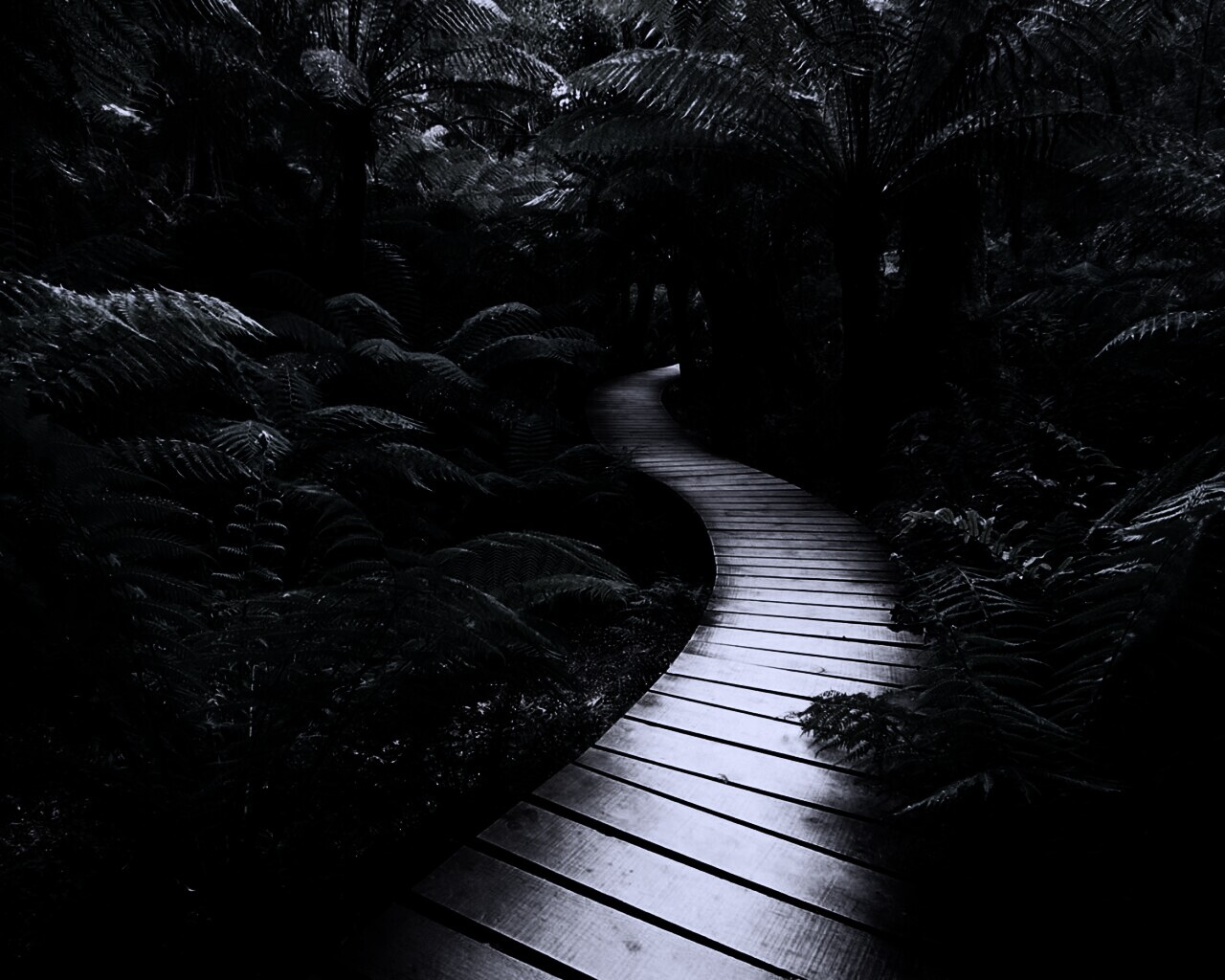 Дорожка в зарослях обои