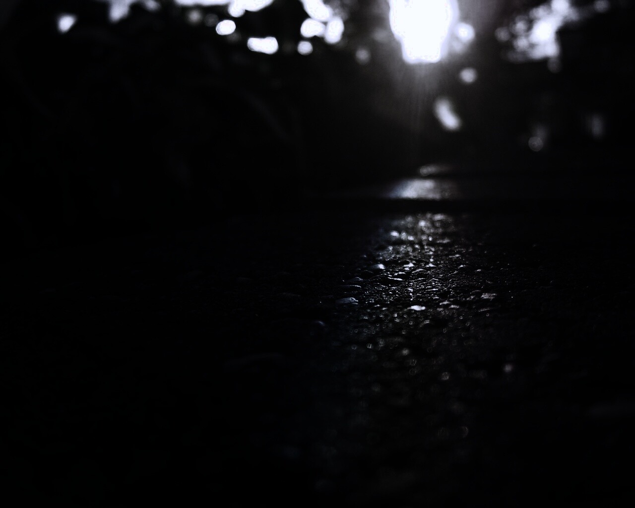 Макро радуга на камне обои