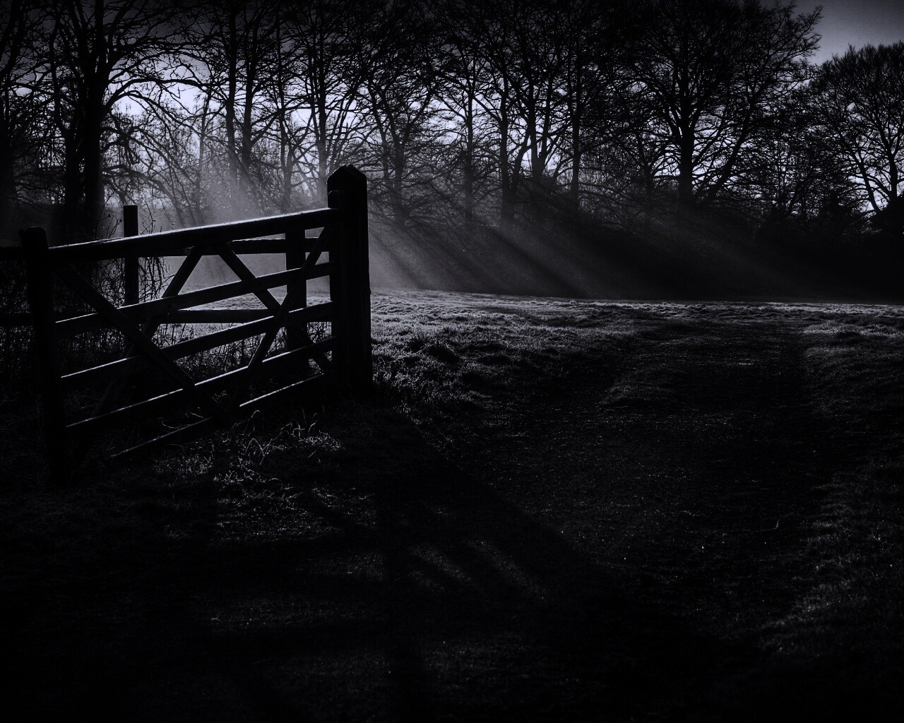 Открытые ворота обои