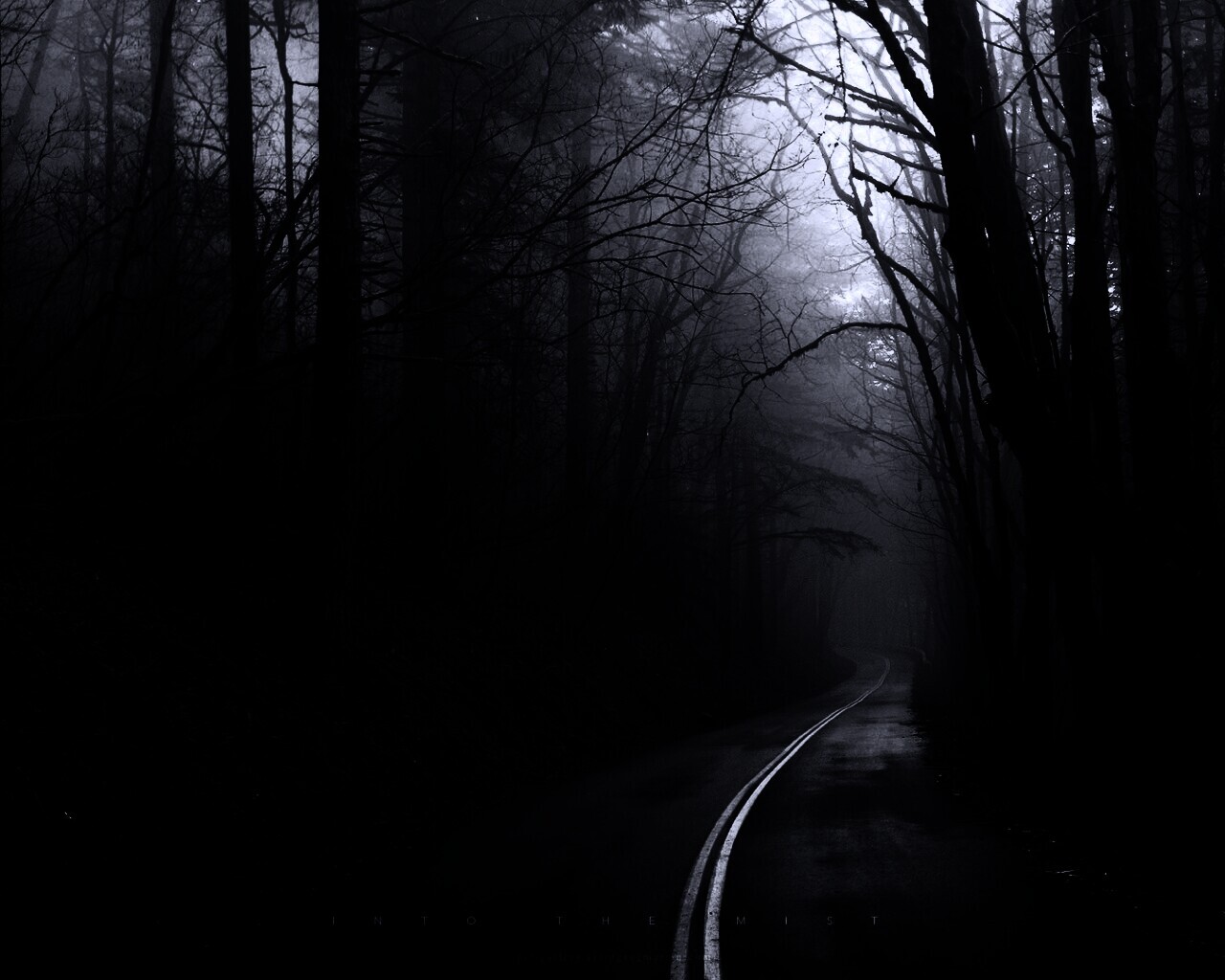 В туман обои