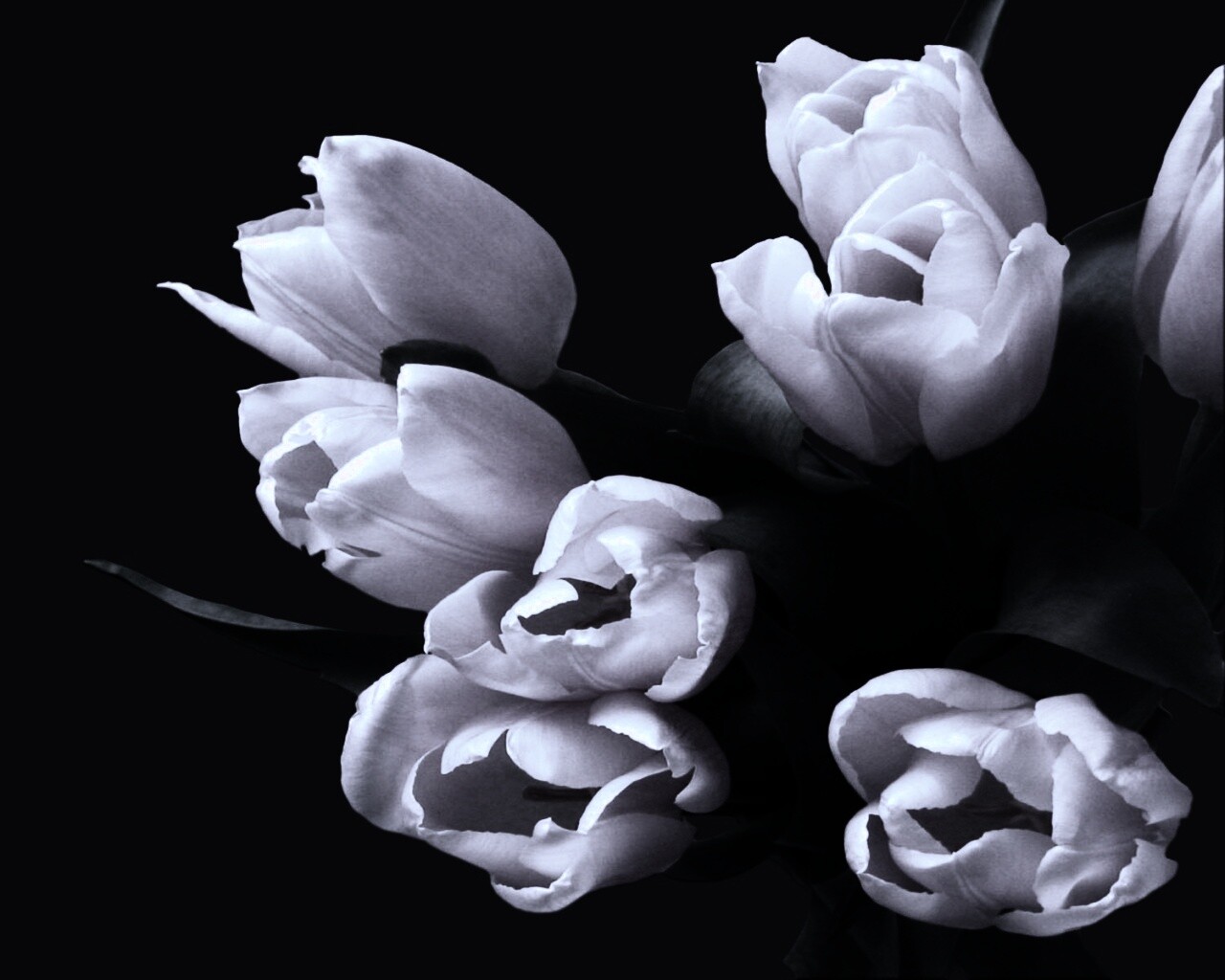 Розовый букет обои