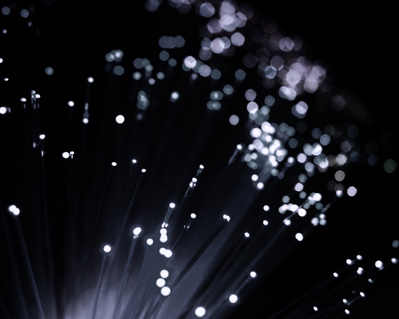 Огоньки на оптоволокне обои