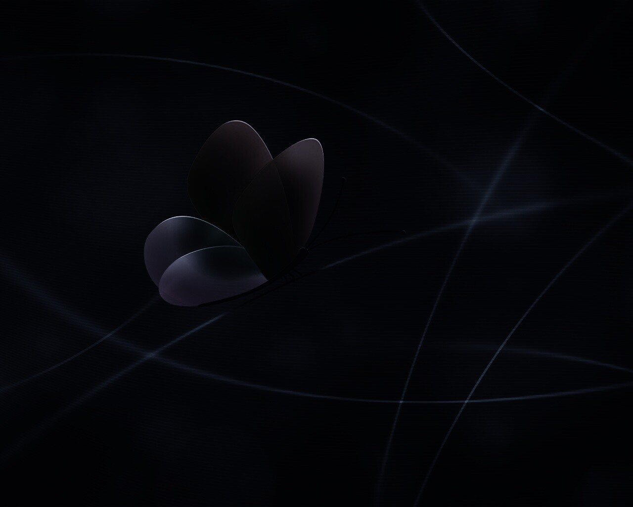 Бабочка с радужными крыльями обои