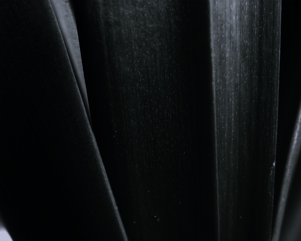 Сочная травинка обои