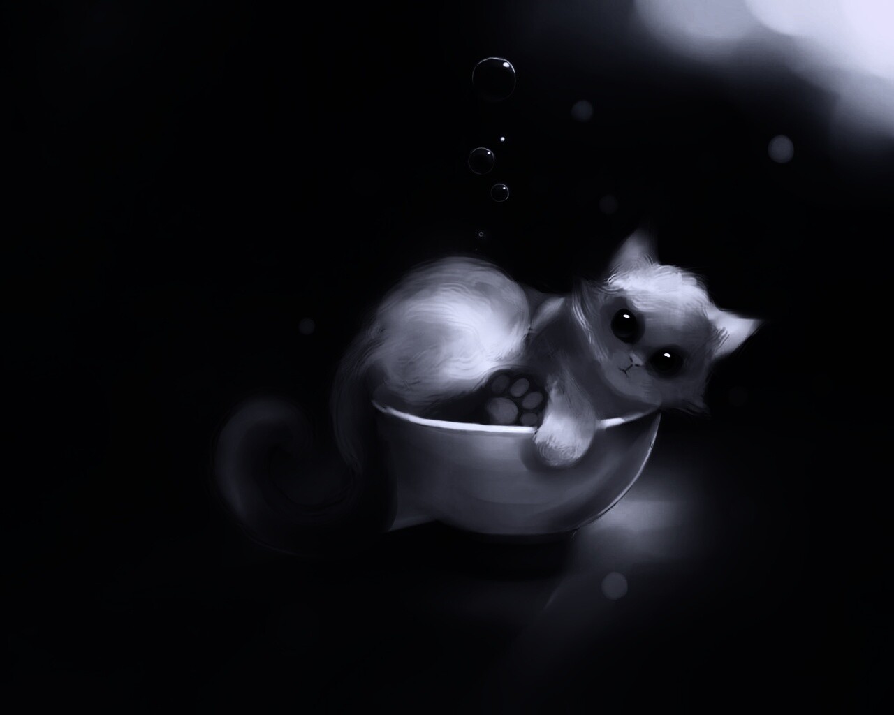 Котёнок в миске обои