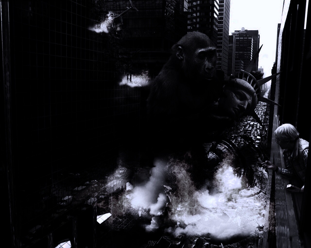 Обезьяна терроизирует Нью-Йорк обои