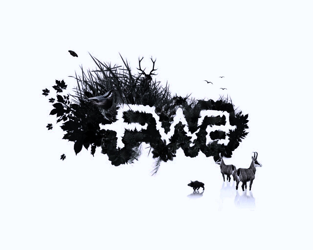 FWA обои