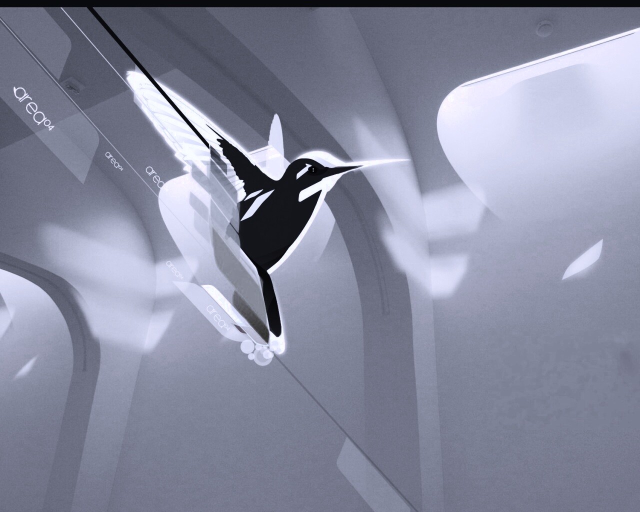 Логотип-колибри обои