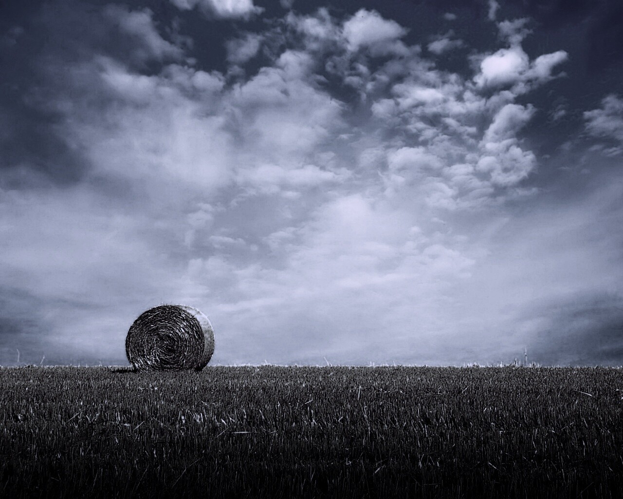 СОломеннынй рулон обои