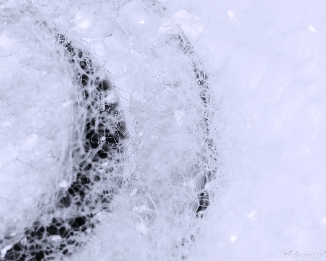 Мыльная пена обои