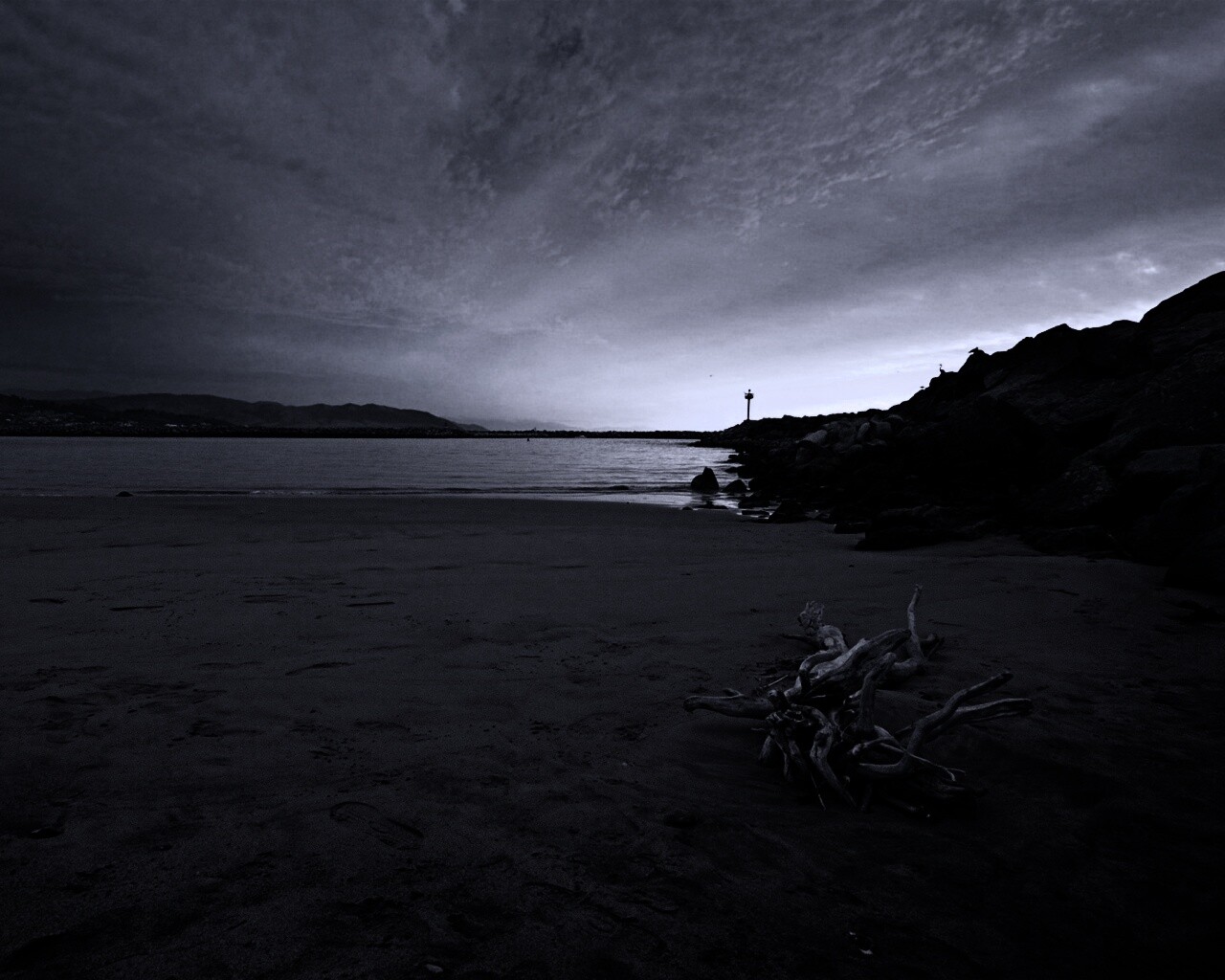 Коряга не берегу обои