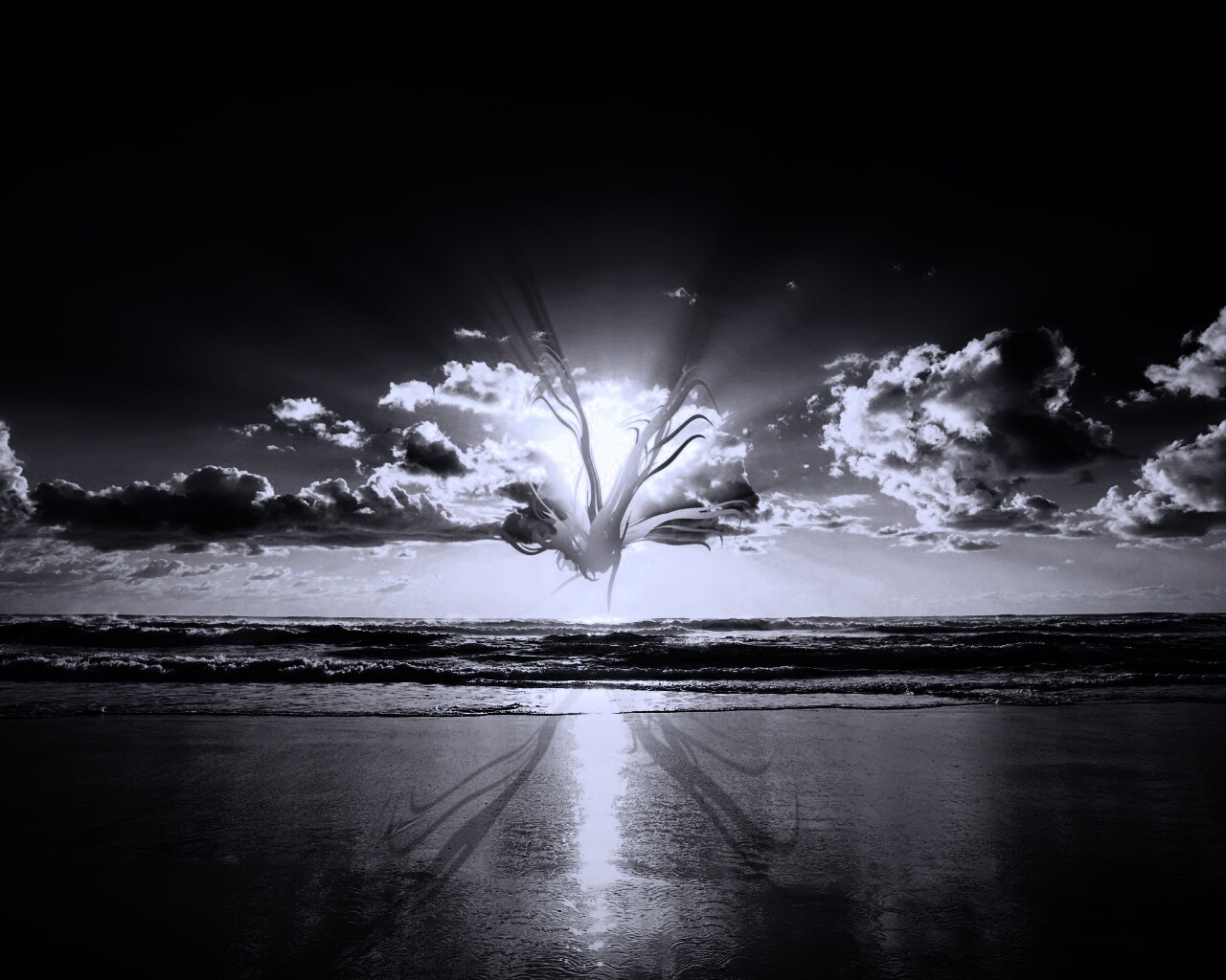 Абстрактные перья на фоне заката обои