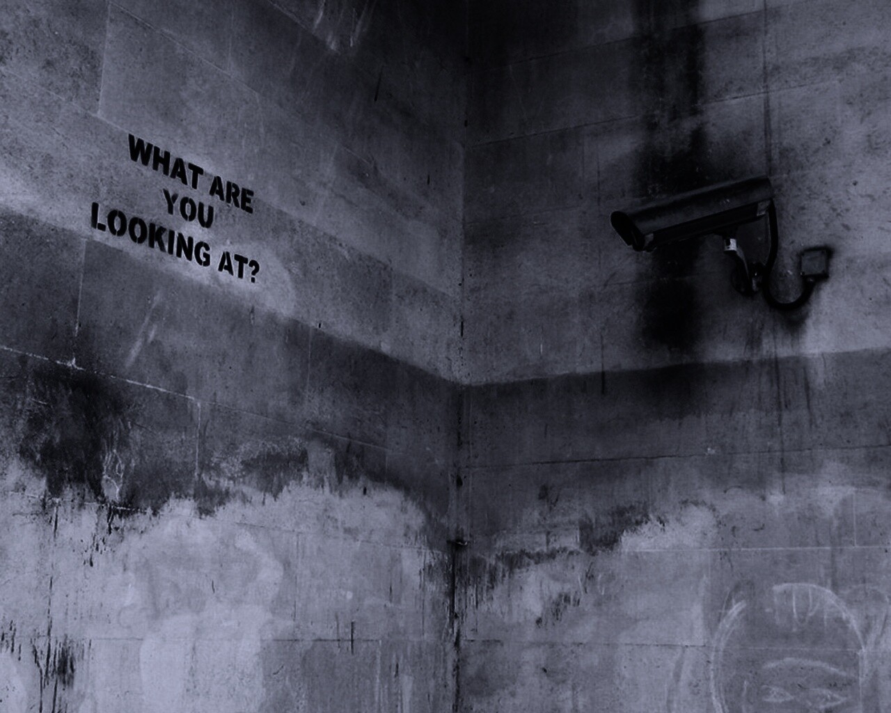 На что ты смотришь? обои