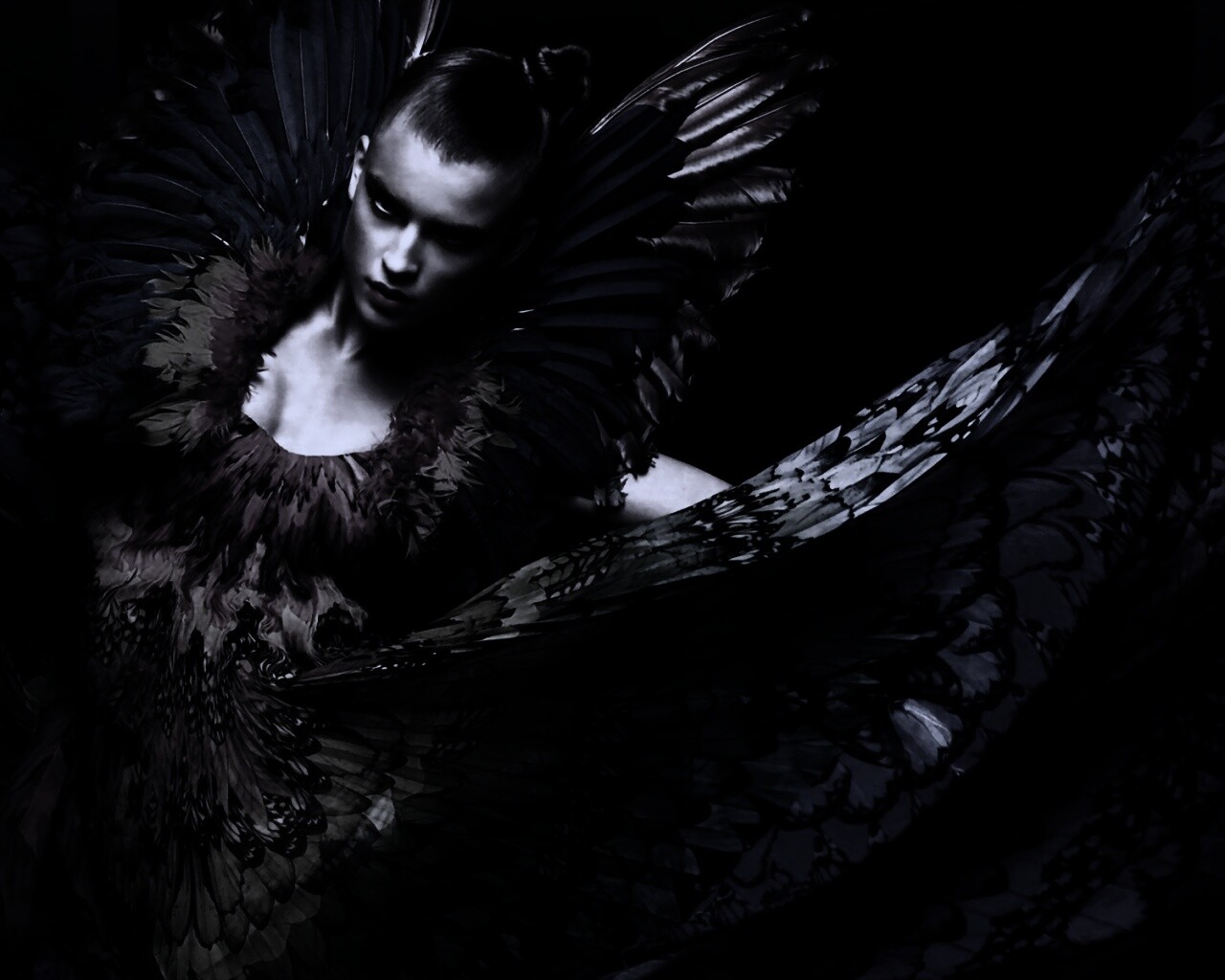 Костюм жар птицы обои