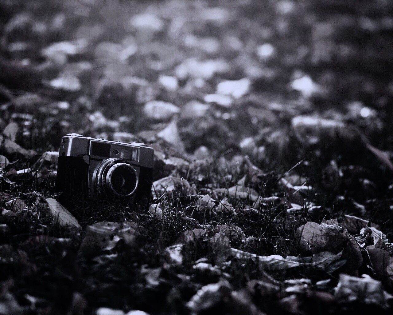 Старый фотоаппарат в траве обои