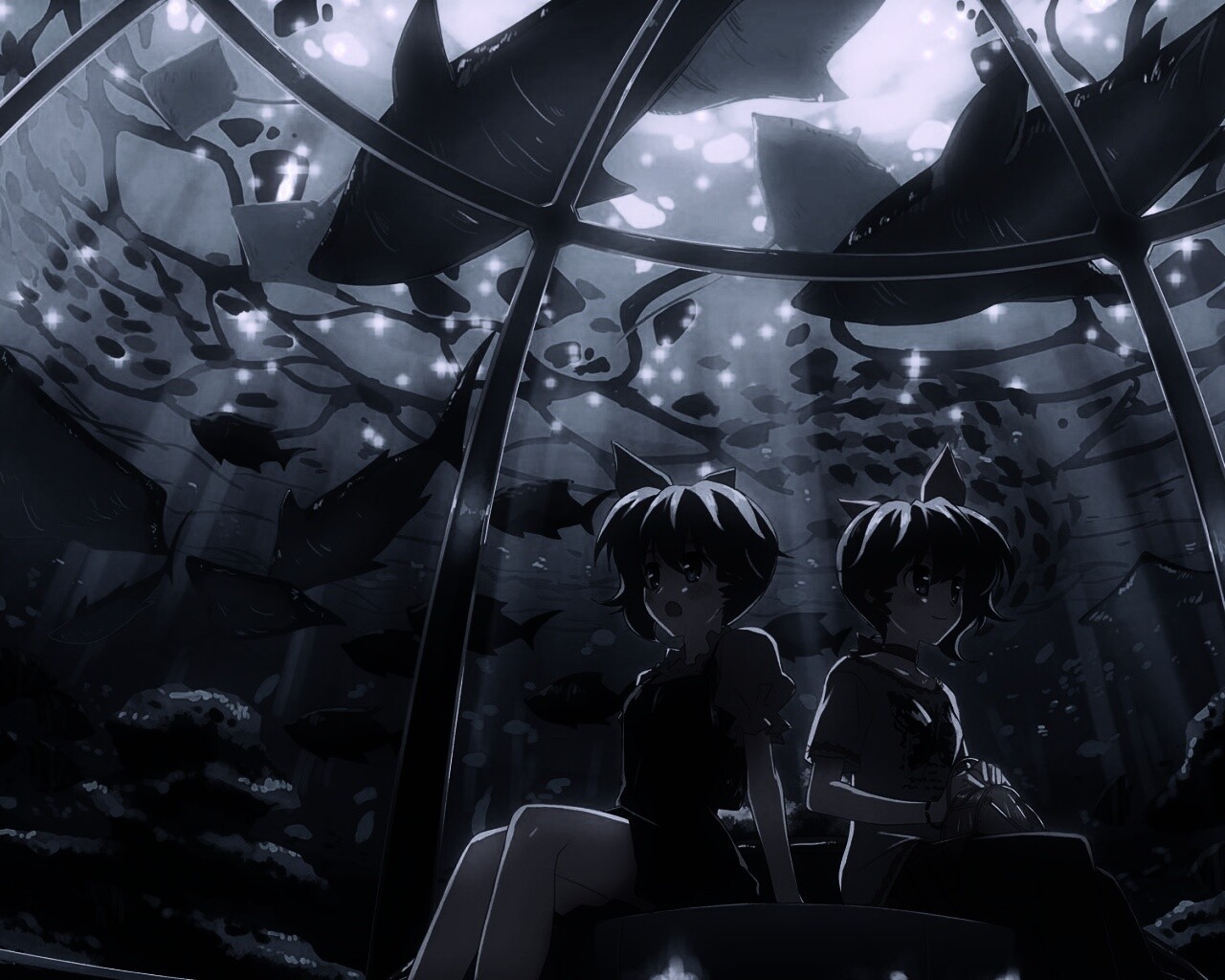 В океанариуме обои