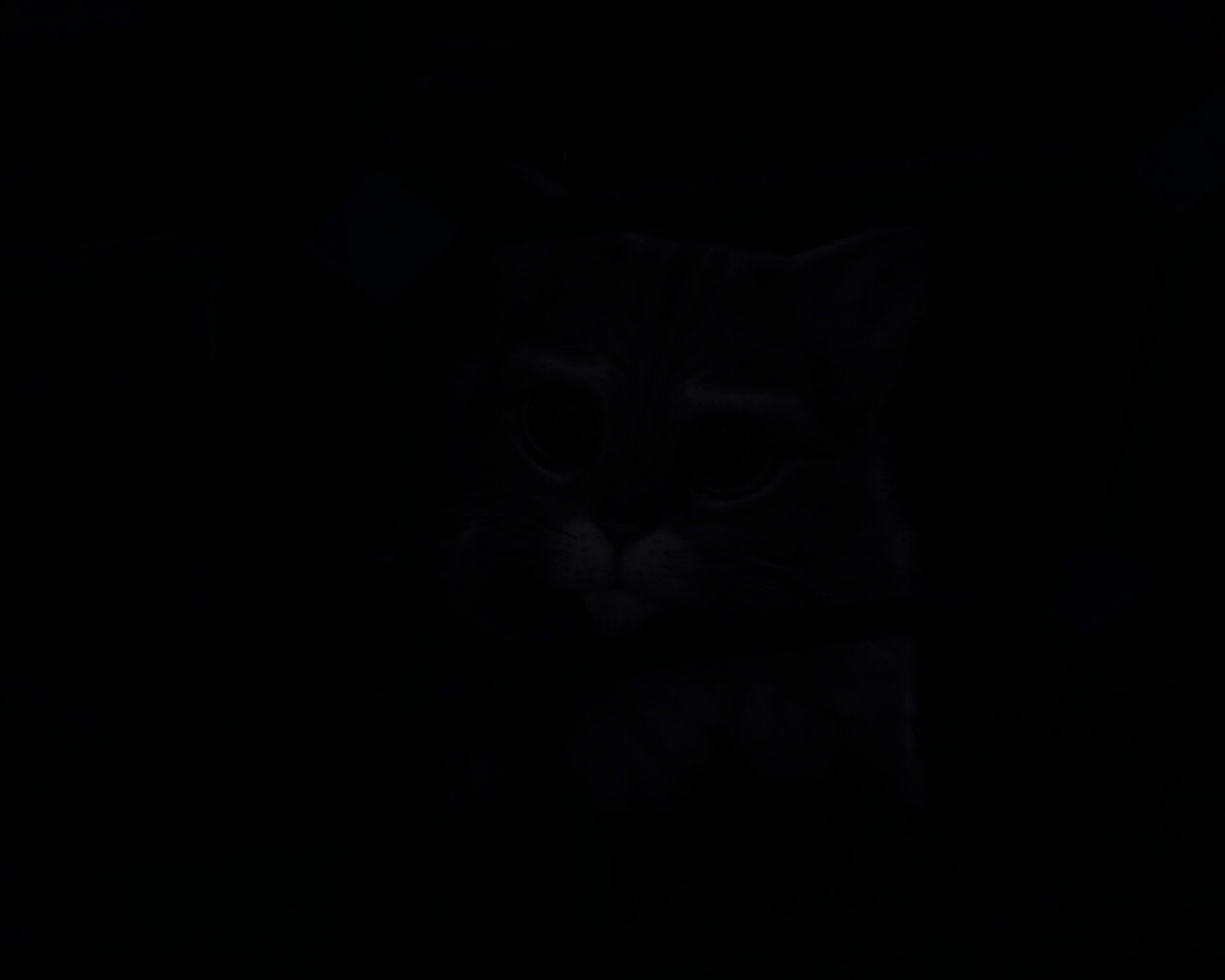 Кот в сапогах обои